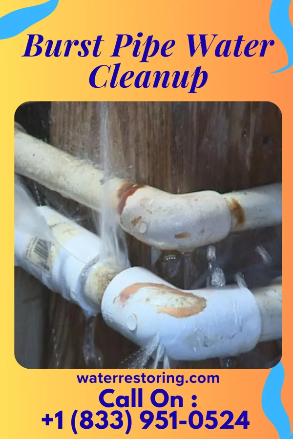 Burst Pipe Water Cleanup in Shubuta, MS