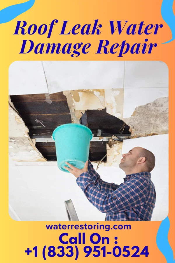 Roof Leak Water Damage Repair in Shubuta, MS